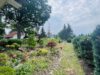 Einfamilienhaus mit großzügigen Garten im Poetenviertel! *BEZUGSFREI* - Garten vorne