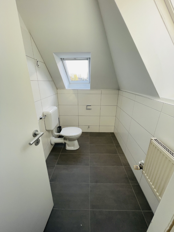 WC DG