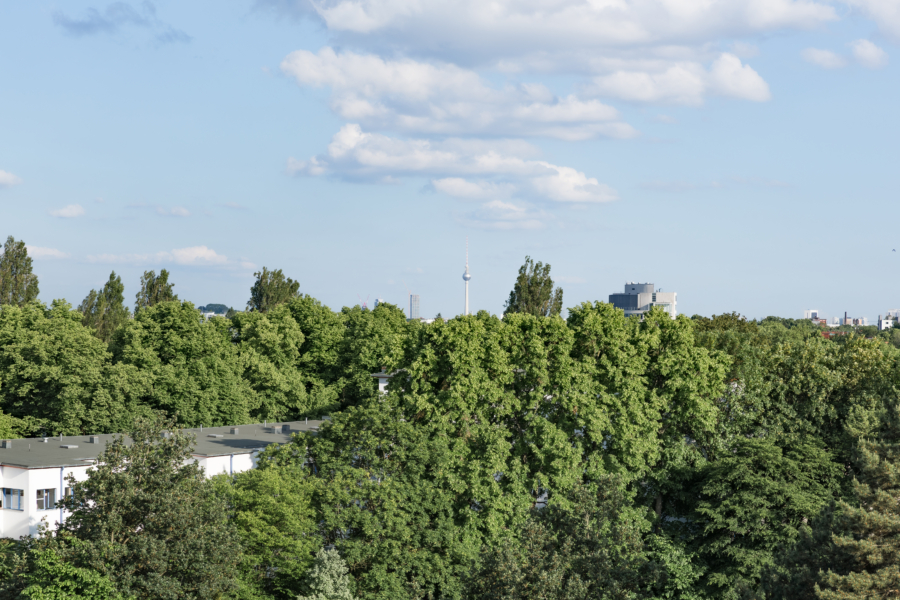 Blick von der Terrasse