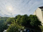*VERMIETET* Lichtdurchflutete Wohnung mit TG-Stellplatz am beliebten Heinrich-Lassen-Park! - Blick vom Balkon